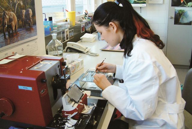 Laborant/-in FZ Farbe und Lack