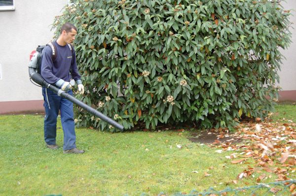 Unterhaltspraktiker/-in BA