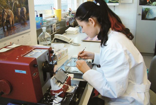 Laborant/-in FZ Farbe und Lack