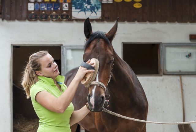 Pferdefachmann/-frau FZ Klassisches Reiten