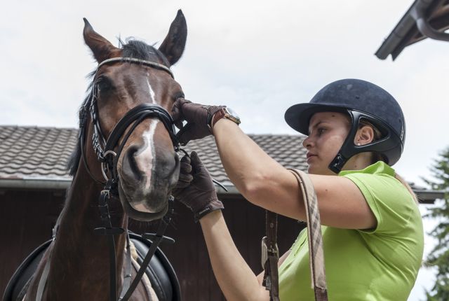 Pferdefachmann/-frau FZ Klassisches Reiten