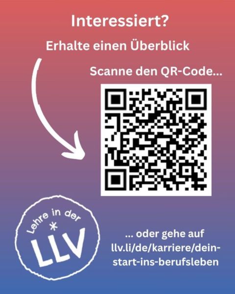 LLV-IT-Infonachmittag_2025_S2.jpg